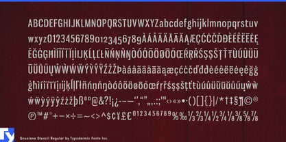 Gnuolane Stencil Font Poster 7