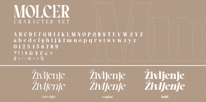 Molcer Font Poster 7