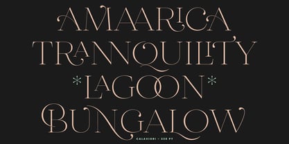 Calaviori Font Poster 4