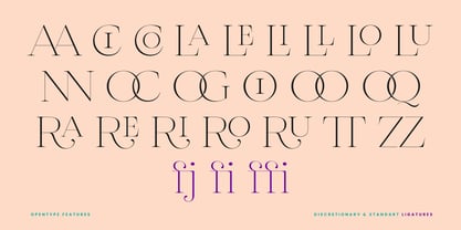 Calaviori Font Poster 10