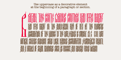 Medieval Narrow Font Poster 4