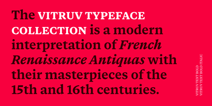 Vitruv Text Font Poster 2