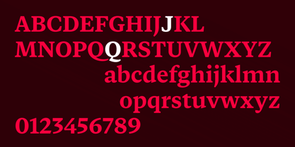 Vitruv Text Font Poster 11