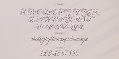 Senailly Font Poster 13