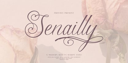 Senailly Font Poster 1