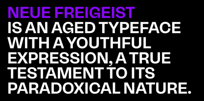 Neue Freigeist Font Poster 2