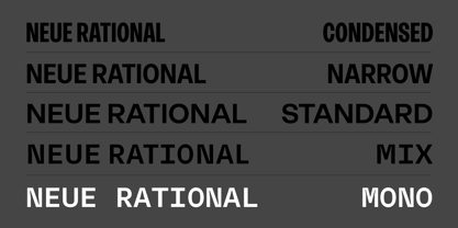 Neue Rational Mono Font Poster 13