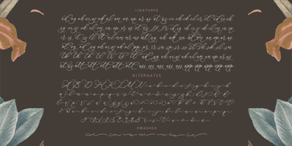 Anchesty Montaine Font Poster 15