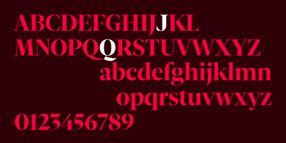 Vitruv Poster Font Poster 2