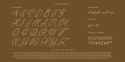 Signationaly Font Poster 7