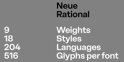 Neue Rational Standard Police Poster 7