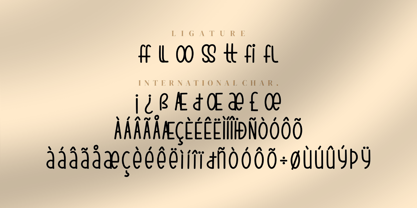 Flying Foxes Font Poster 7