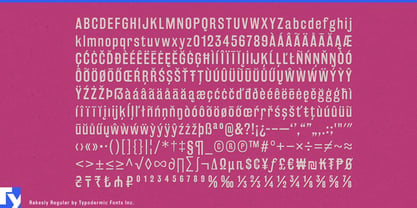 Rakesly Font Poster 7