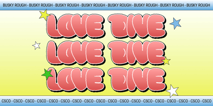 Busky Rough Font Poster 2