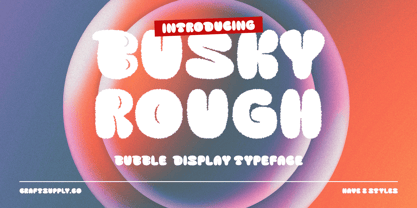 Busky Rough Font Poster 1