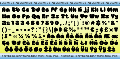 Busky Rough Font Poster 6