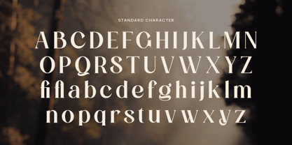 CALTORIA LUXURY Font Poster 10