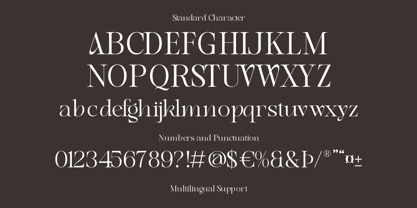 Angenia Font Poster 11