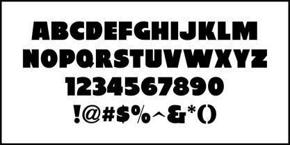 Sales Ad JNL Font Poster 3
