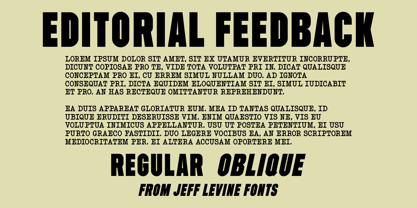 Editorial Feedback JNL Font Poster 1