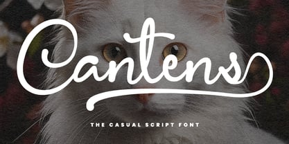 MC Cantens Font Poster 1