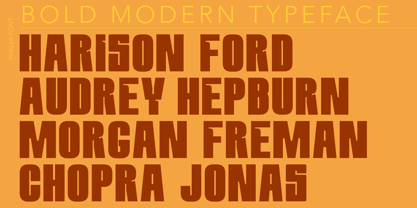 Phelya Font Poster 9