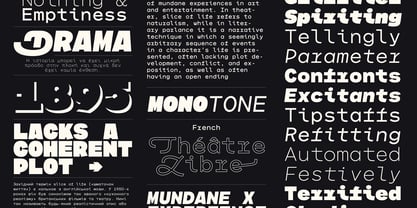 Indecisive Mono Variable Font Poster 4