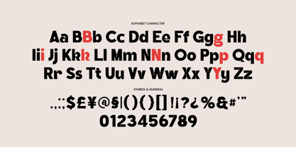 Noksa Dalgont Font Poster 6