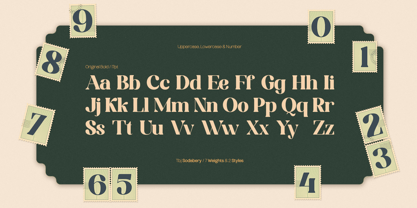 TBJ Sodabery 2Styles Font Poster 2