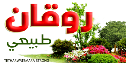 TETharwat Emara Strong Font Poster 11