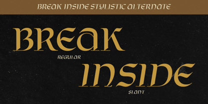 Break Inside Police Poster 2