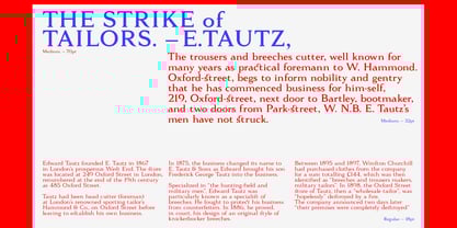 Tautz Font Poster 5