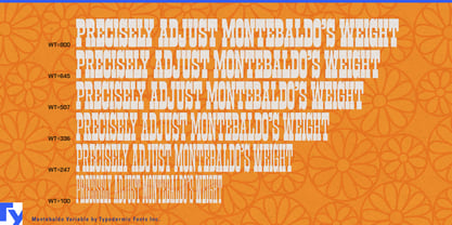 Montebaldo Variable Font Poster 2