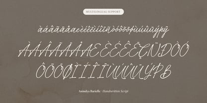 Anindya Barielle Font Poster 12