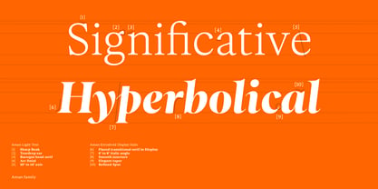 Aman Variable Font Poster 5