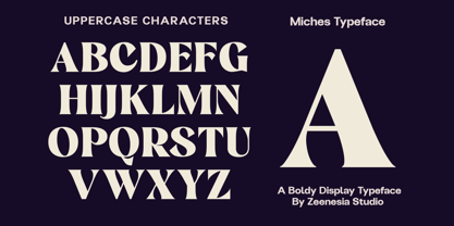 Miches Font Poster 13