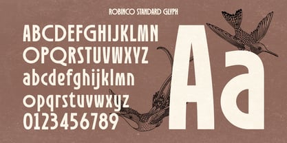 Robinco Font Poster 9
