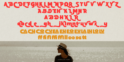 Habillta Font Poster 10