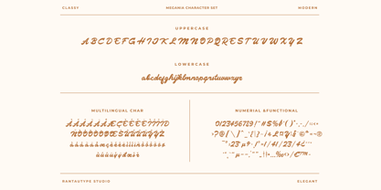 Megania Font Poster 14