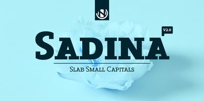 Sadina Slab Small CAPS Font Poster 1