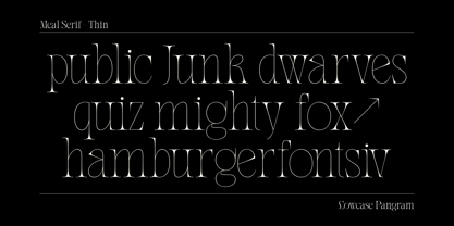 Meal Font Poster 13