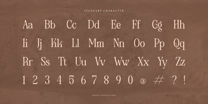 Ledira Font Poster 13