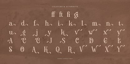 Ledira Font Poster 15