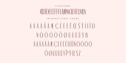 Hermooun Font Poster 8