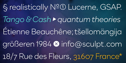 Qualion Neue Font Poster 14