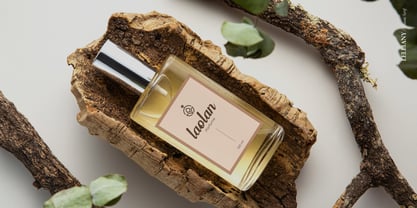 Lelliany Font Poster 11