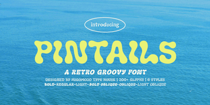 Pintails Font Poster 1