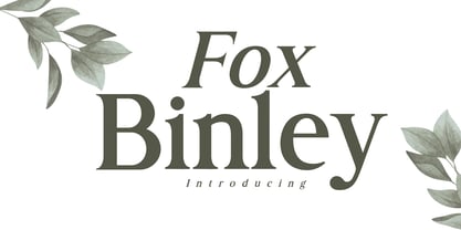 Fox Binley Font Poster 1