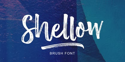 Shellow Brush Font Poster 1