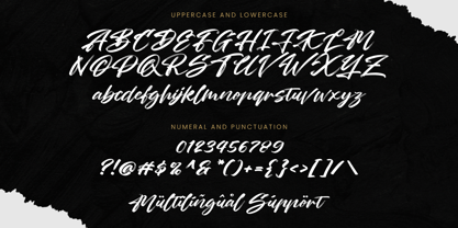 Soulstice Brush Script Font Poster 6